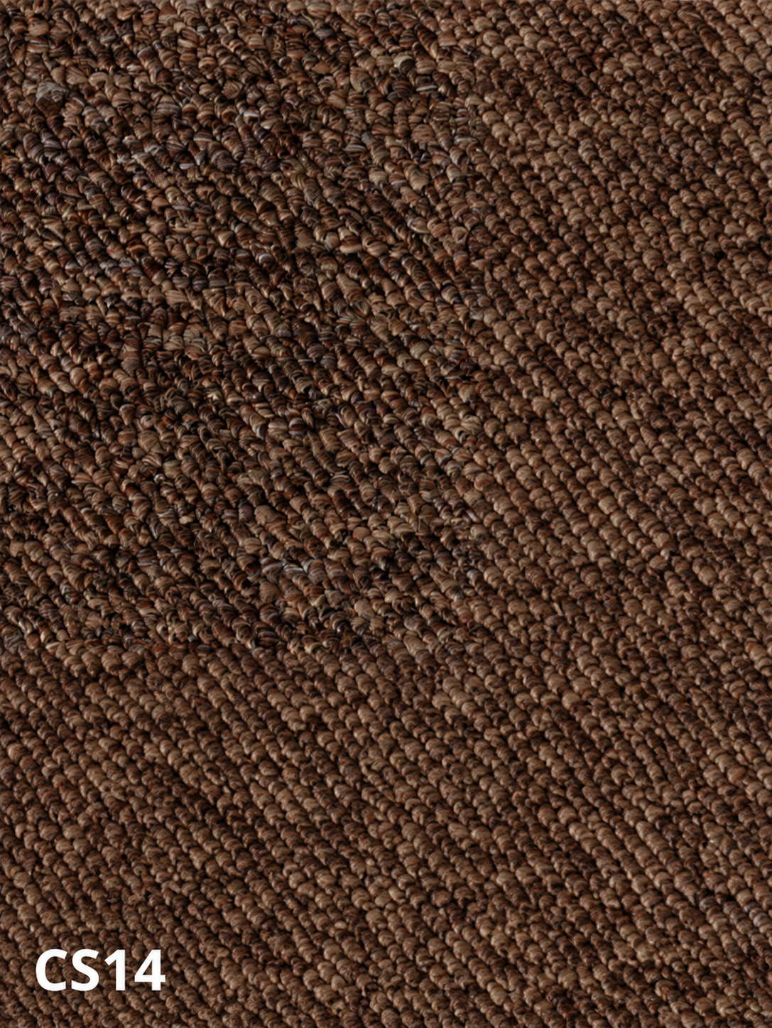Carpet sample CS14 — Tan & Brown
