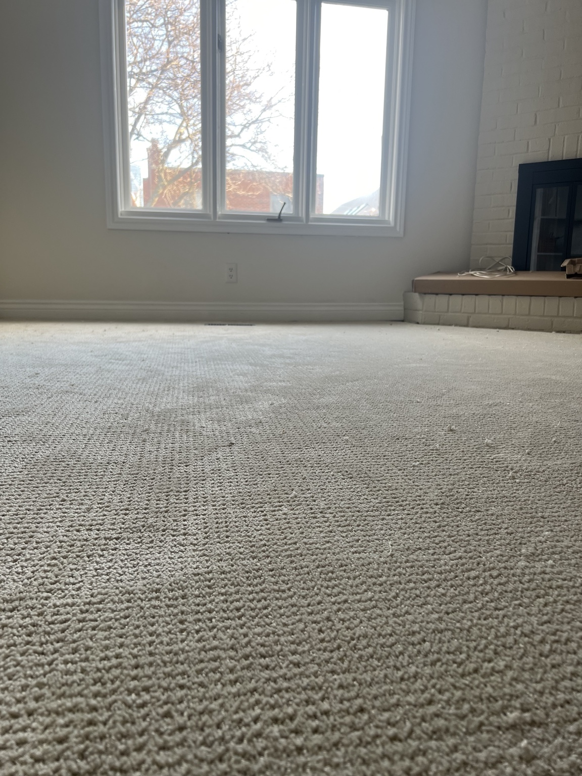 Carpet — The Beaches