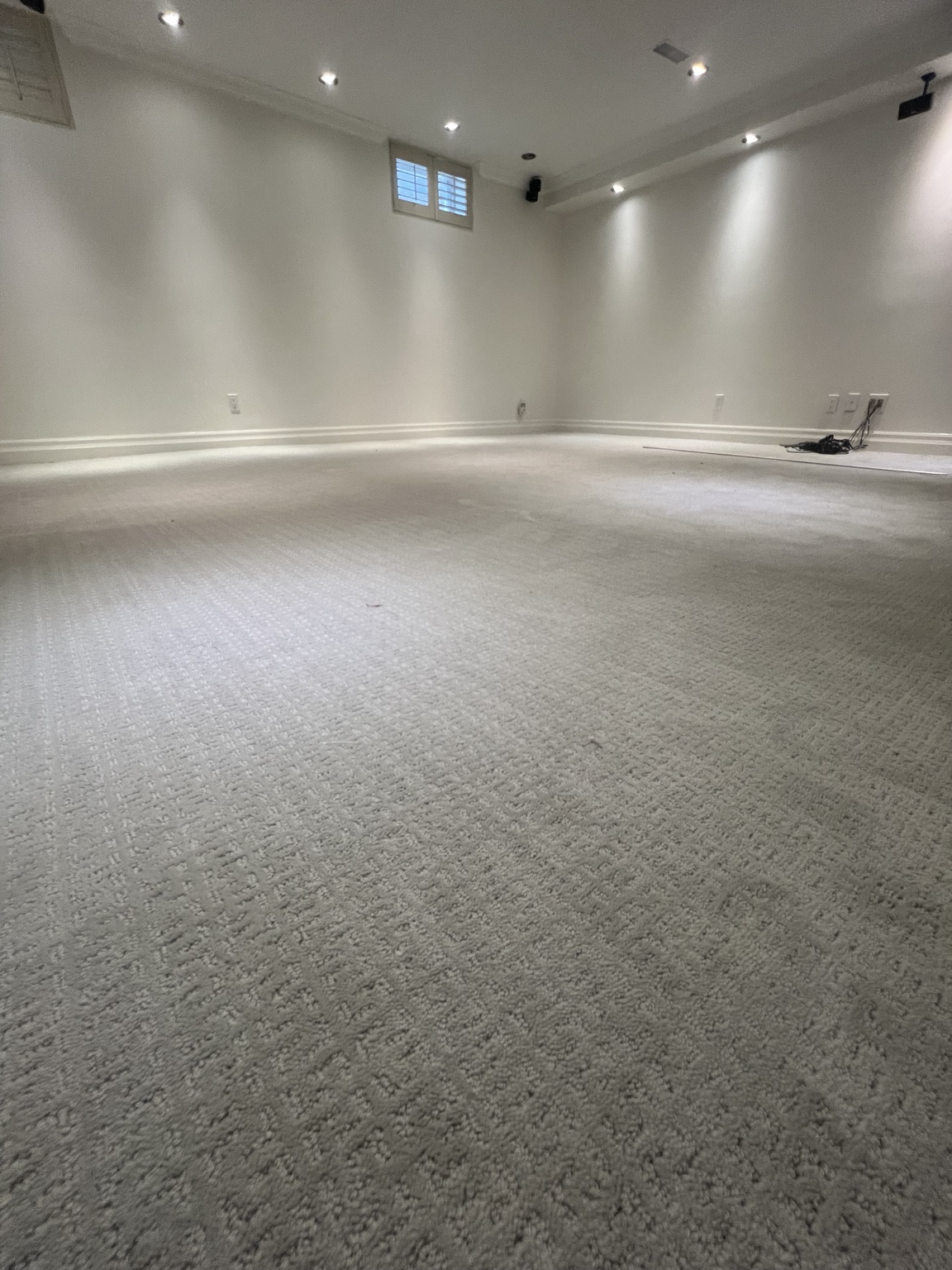 Carpet — Forest Hill