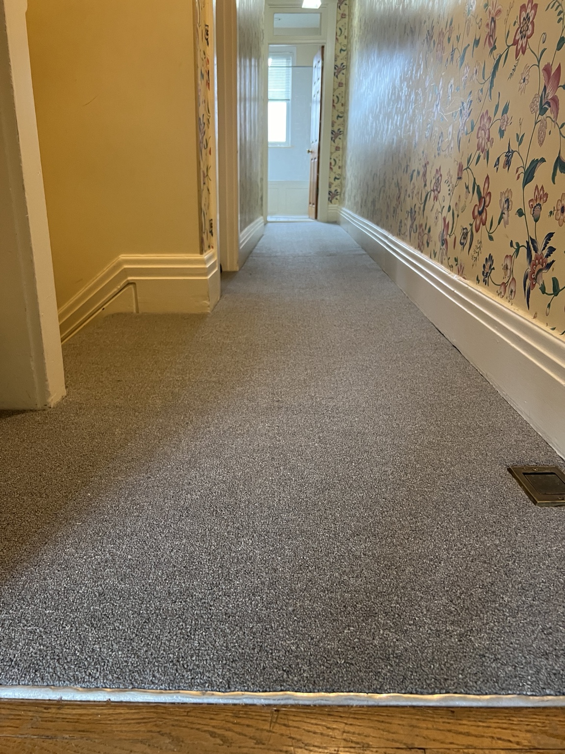 Carpet — Midtown