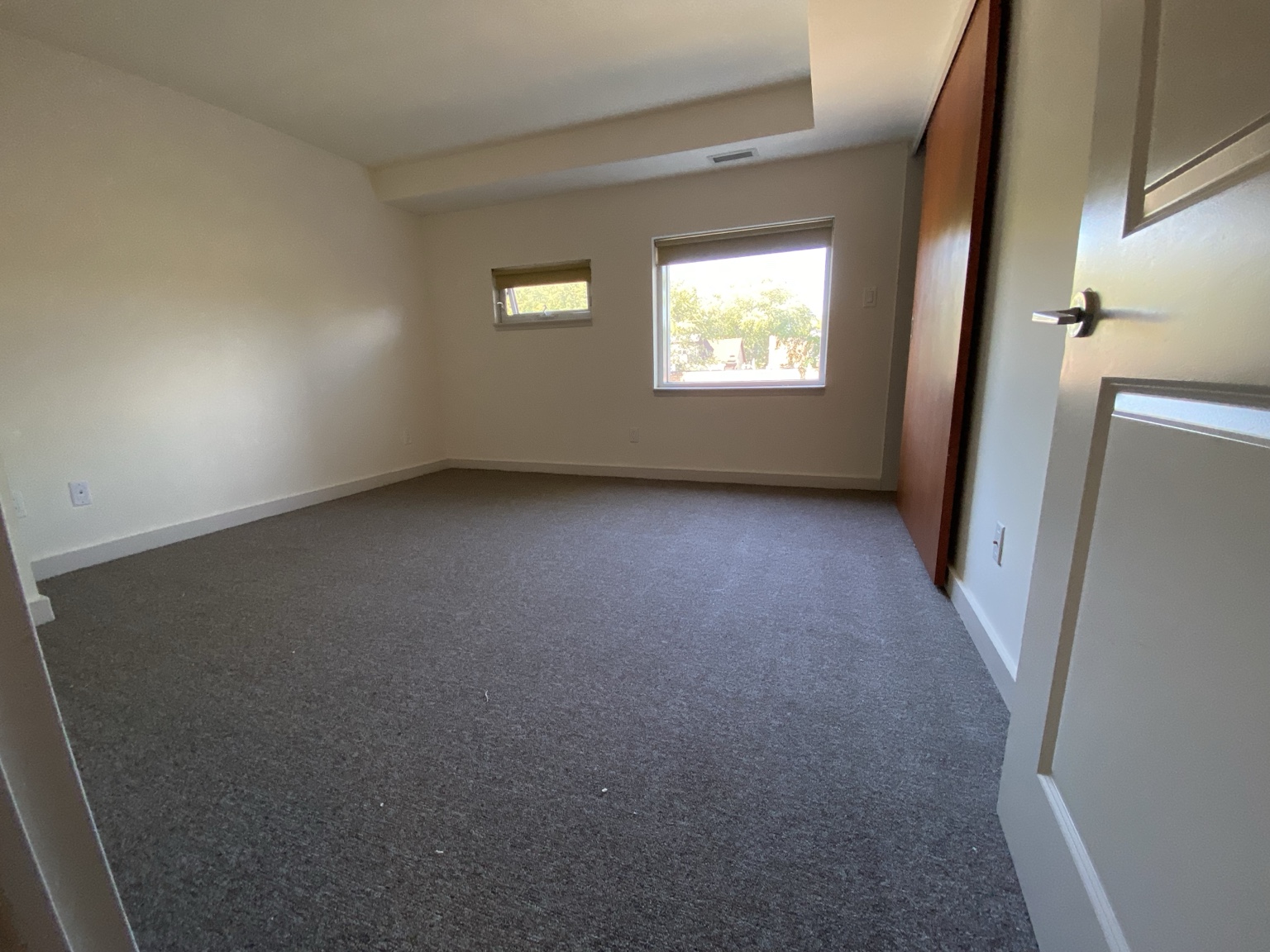 Carpet — North York