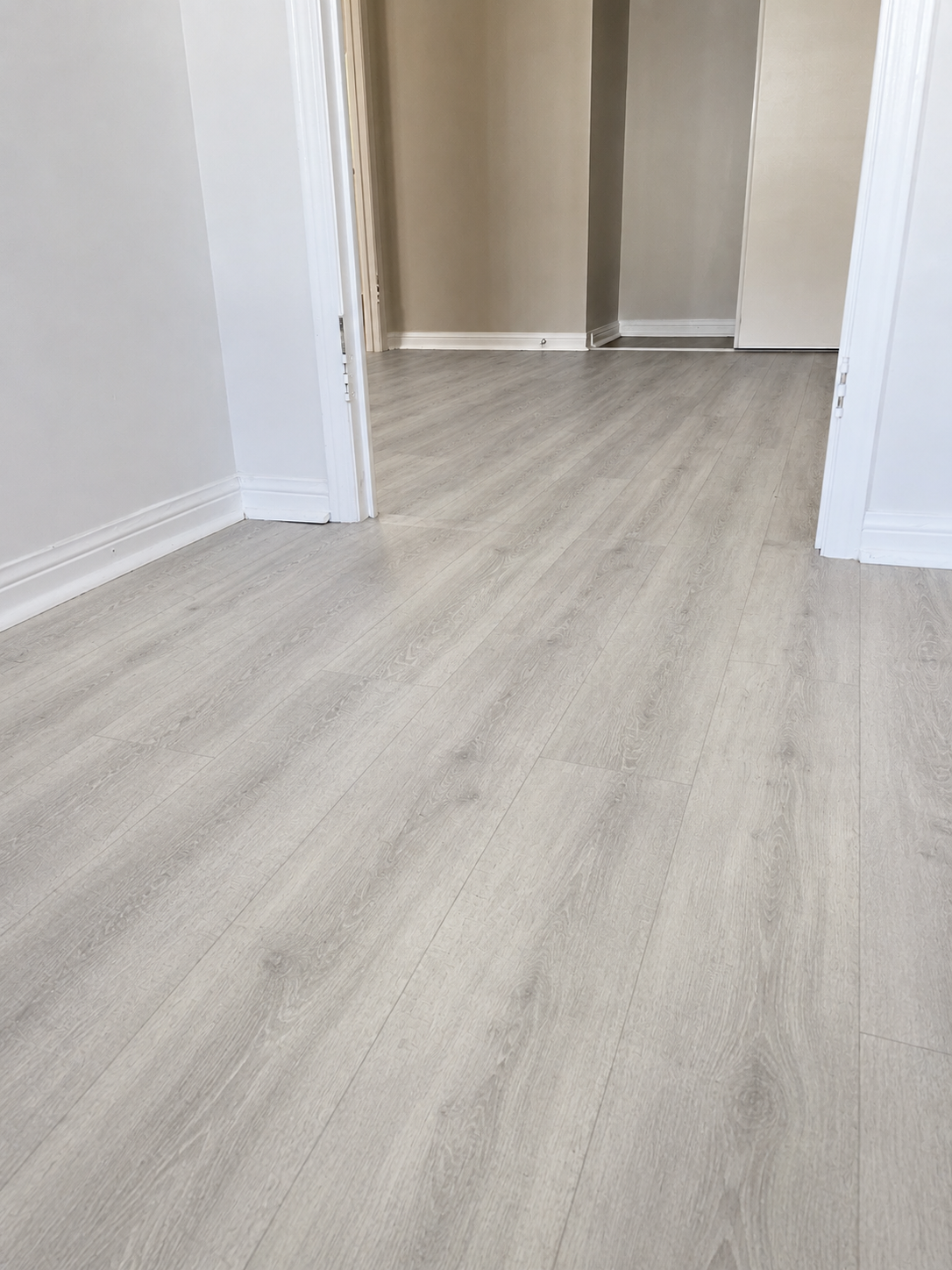 LVP Throughout — Downtown Condo